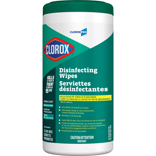 Lingettes d&eacute;sinfectantes, 75 lingettes Rock Safety Industrial Ltd