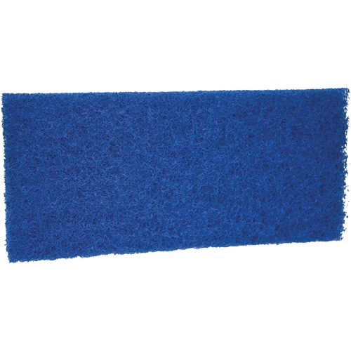 Medium Scrub Pad, 10" L x 4-1/2" W Rock Safety Industrial Ltd
