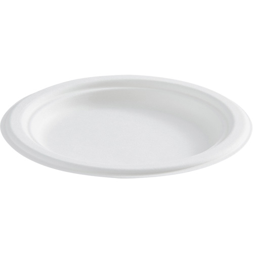 Assiette ronde en fibre compostable Rock Safety Industrial Ltd