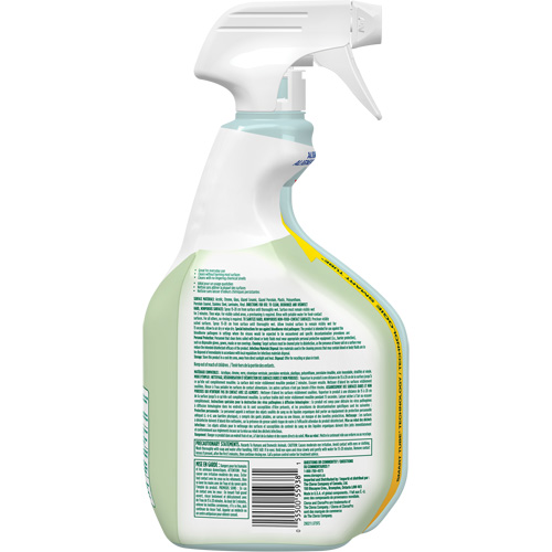 Nettoyant d&eacute;sinfectant CloroxPro Clorox EcoClean, 946 ml, Bouteille &agrave; g&acirc;chette Rock Safety Industrial Ltd