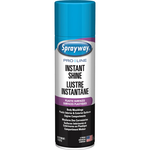 Brillant instantan&eacute; Pro Line pour surfaces en plastique, 11 oz, Canette a&eacute;rosol Rock Safety Industrial Ltd