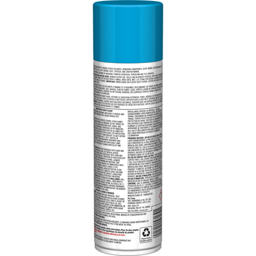 Nettoyant tout usage Pro Line Crazy Clean, 19 oz., Canette a&eacute;rosol Rock Safety Industrial Ltd