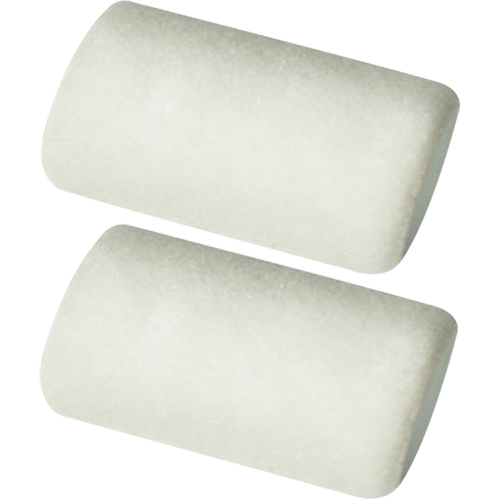 Manchons pour rouleau de calibre professionnel, Nap 9,525 mm (3/8"), 101,6 mm (4") l Rock Safety Industrial Ltd