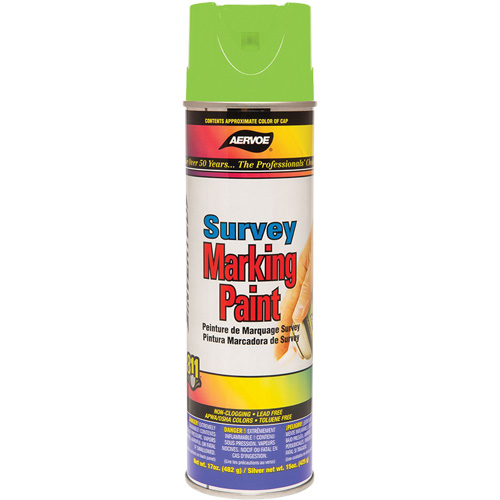 All-Purpose Marking Paint, 17 oz., Aerosol Can Rock Safety Industrial Ltd