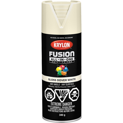 Fusion All-In-One Spray Paint, Dover White, Gloss, 12 oz., Aerosol Can Rock Safety Industrial Ltd