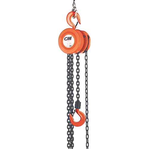 Chain Hoist, 20' Lift, 1000 lbs. (0.5 tons) Capacity, Steel Chain Rock Safety Industrial Ltd
