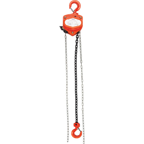 Chain Hoist, 20' Lift, 4000 lbs. (2 tons) Capacity, Alloy Steel Chain Rock Safety Industrial Ltd