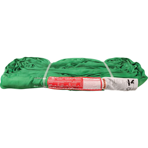 &eacute;lingue ronde en polyester, Vert, 12' lo, 6000 lb Charge verticale Rock Safety Industrial Ltd