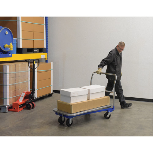 Platform Cart, 48" L x 24" W, 1500 lbs. Capacity, Mold-on Rubber Casters Rock Safety Industrial Ltd