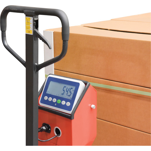 Pallet Truck, 48" L x 27.5" W, 5000 lbs. Cap. Rock Safety Industrial Ltd