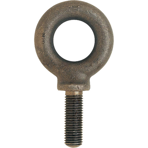 Boulon &agrave; œil m&eacute;trique, 51 mm dia, 70 mm lo, 11 400 lb (5,7 tonnes) capacit&eacute; Rock Safety Industrial Ltd