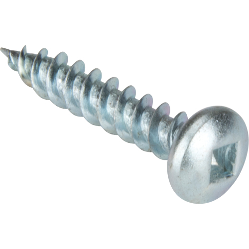 Tapping Screw Pan Head, #10 x 1-1/4" L, Zinc Plated Rock Safety Industrial Ltd