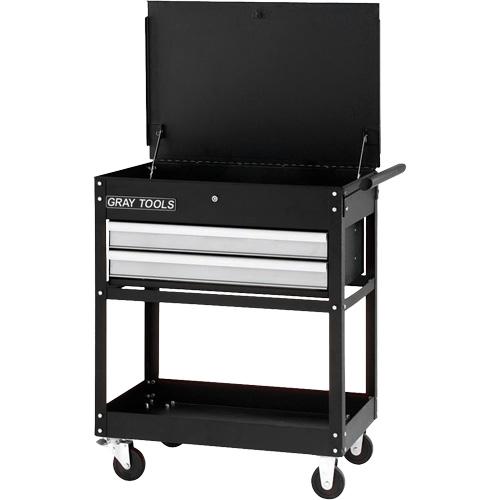 Chariot utilitaire, 2 tiroirs, 30-1/4" lo x 19" la x 35-3/4" h, Noir Rock Safety Industrial Ltd