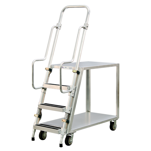 Chariot de pr&eacute;paration en aluminium avec &eacute;chelle, Aluminium, 22" la x 51-1/2" p, 2 tablettes, Capacit&eacute; 800 lb Rock Safety Industrial Ltd
