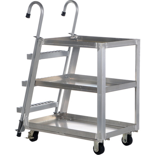 Stockpicker Truck, Aluminum, 21-7/8" W x 40" D, 3 Shelves, 660 lbs. Capacity Rock Safety Industrial Ltd