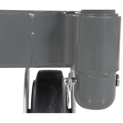 Platform Truck, 48" L x 24" W, 2000 lbs. Capacity, Rubber Casters Rock Safety Industrial Ltd