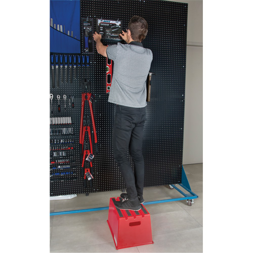 Industrial Step Stool, 20-7/8" x 12-3/16" x 12" High Rock Safety Industrial Ltd