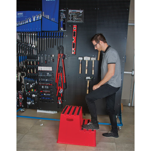 Industrial Step Stool, 2 Steps, 26" x 22-7/16" x 19-11/16" High Rock Safety Industrial Ltd