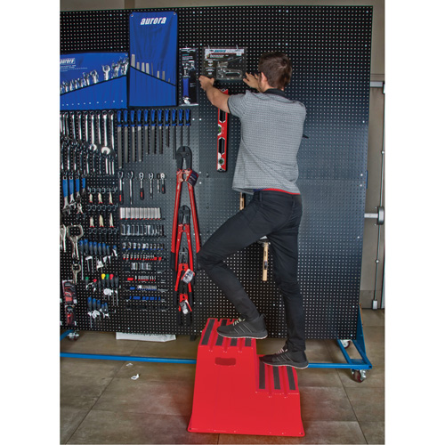 Industrial Step Stool, 2 Steps, 26" x 22-7/16" x 19-11/16" High Rock Safety Industrial Ltd