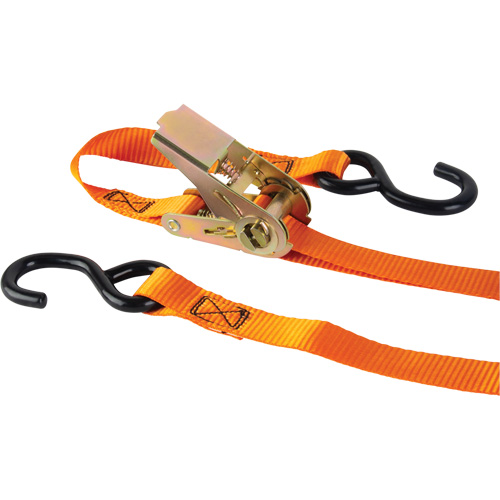 Tendeur d'arrimage &agrave; cliquet, Crochet en S, 1" , 12' , Charge d'utilisation max. 2200 lb (998 kg) Rock Safety Industrial Ltd