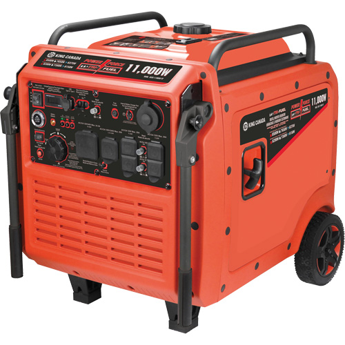 Tri-Fuel Inverter Generator Rock Safety Industrial Ltd