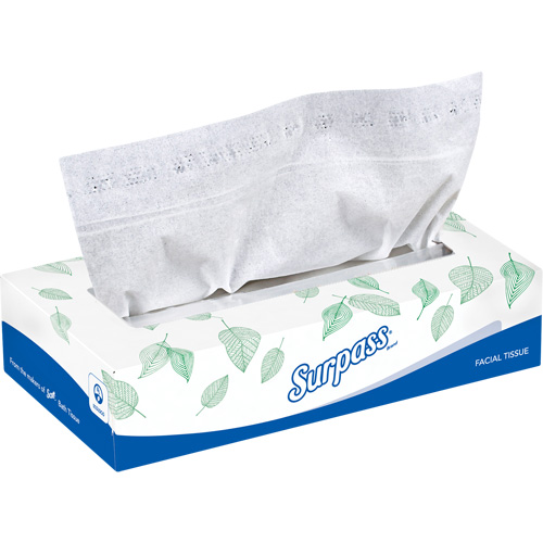 Surpass&reg; Facial Tissue, 2 Ply, 8.3" L x 7.8" W, 100 Sheets/Box Rock Safety Industrial Ltd
