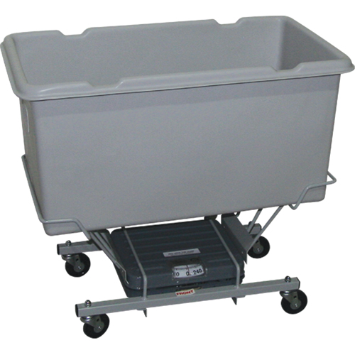 Scale Carts, Polyethylene, 33" L x 19" W x 29" H, 5 cu. Ft. Volume, 250 lbs. Capacity Rock Safety Industrial Ltd