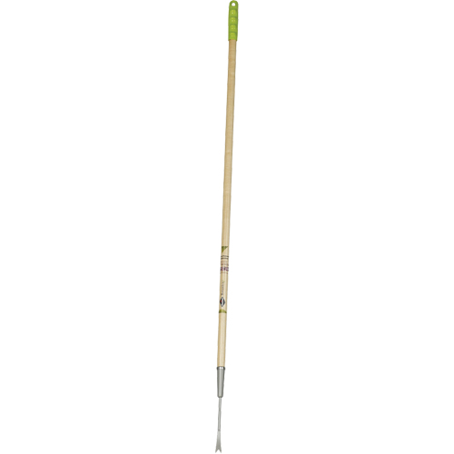 Arrache pissenlits Rock Safety Industrial Ltd