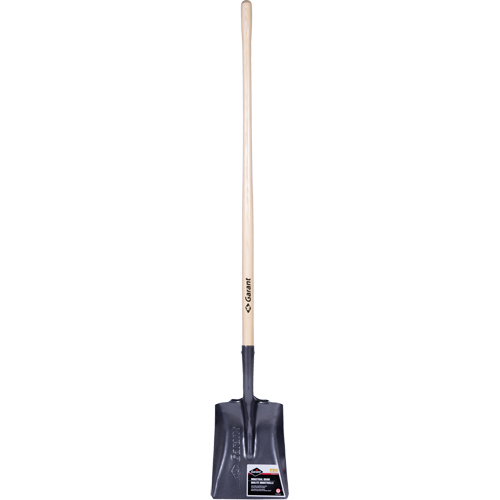 Pro Square Point Shovel, Wood, Tempered Steel Blade, Straight Handle, 48" Long Rock Safety Industrial Ltd