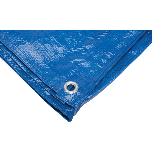 B&acirc;che, Standard, Bleu, 7' x 5' x 4 mils Rock Safety Industrial Ltd
