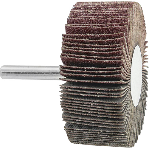 Mounted Flapwheel, 120 Grit, 2-1/2" x 1" x 1/4" Rock Safety Industrial Ltd
