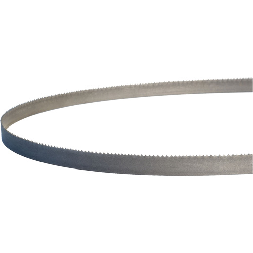 Lames de scie &agrave; ruban portatives Master-Band, Bim&eacute;tal, 18 Dents par pouce, 44-7/8" lo x 1/2" la Rock Safety Industrial Ltd