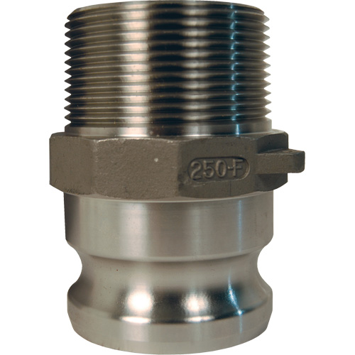 Adaptateur &agrave; came et cannelure Global, Acier inoxydable, Type F, 1", NPT m&acirc;le, 250 PSI Rock Safety Industrial Ltd