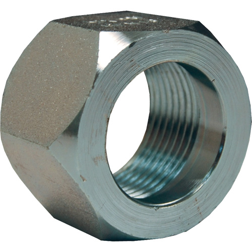 Dixon&reg; Mining Hex Nut, 1", Zinc Plated, NPT Thread Rock Safety Industrial Ltd