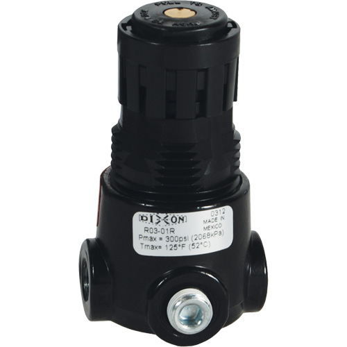 R&eacute;gulateur miniature R03 Wilkerson, 1/8" NPT, PSI max. de 300 psi, Standard Rock Safety Industrial Ltd
