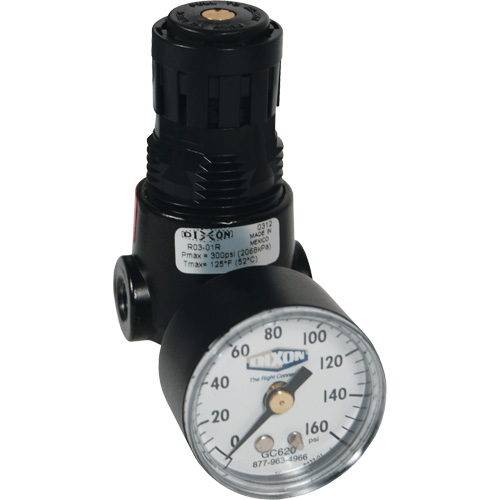 R&eacute;gulateur miniature R04 Wilkerson, 1/4" NPT, PSI max. de 300 psi, Standard Rock Safety Industrial Ltd