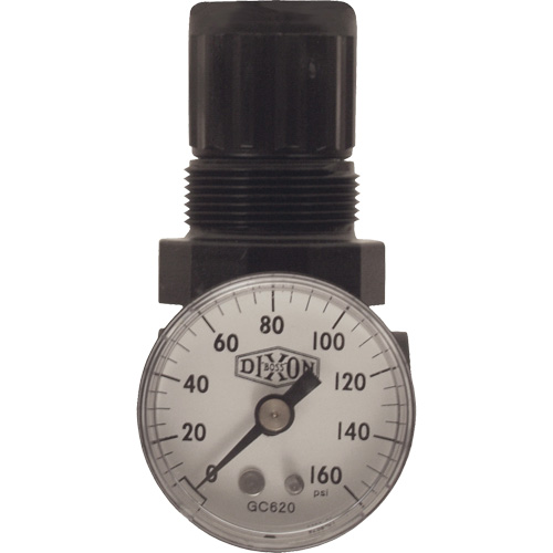 R&eacute;gulateur miniature de s&eacute;rie 1, 1/8" NPT, PSI max. de 100 psi, Standard Rock Safety Industrial Ltd