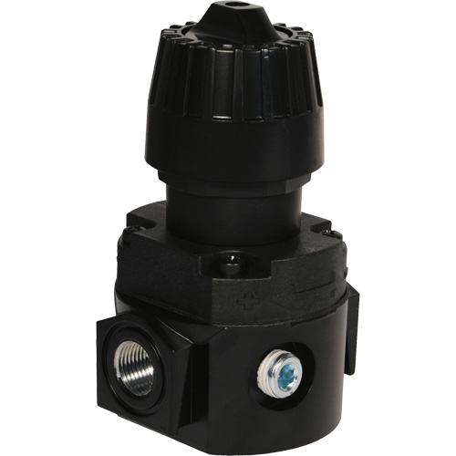 R&eacute;gulateur compact R16 Wilkerson, 1/4" NPT, PSI max. de 300 psi, Standard Rock Safety Industrial Ltd