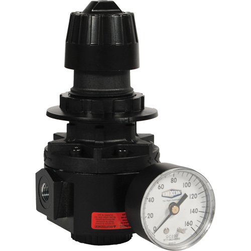 R&eacute;gulateur Wilkerson R26, 1/2" NPT, PSI max. de 300 psi, Standard Rock Safety Industrial Ltd