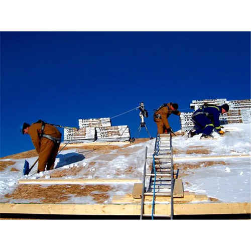 Ancrage pivotant de toiture pour 3 personnes DBI-SALA, Boulonn&eacute;/Toit, Usage Temporaire Rock Safety Industrial Ltd