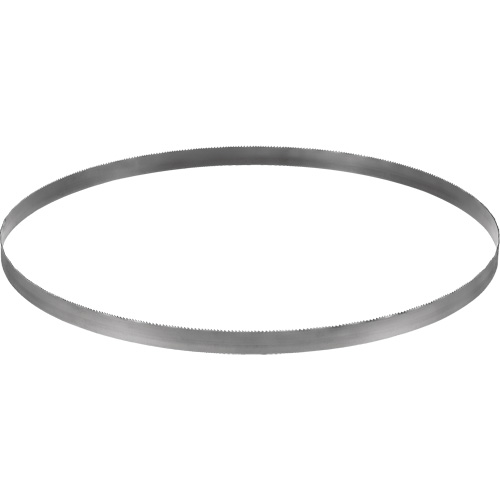 Cordless Band Saw Blade, Bi-Metal, 32-7/8" L x 0.02" Thick, 14-18 TPI Rock Safety Industrial Ltd