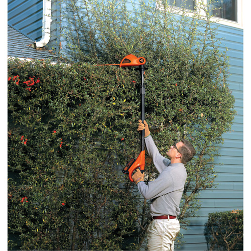 Ensemble de taille-haie sur perche sans fil Max* Rock Safety Industrial Ltd