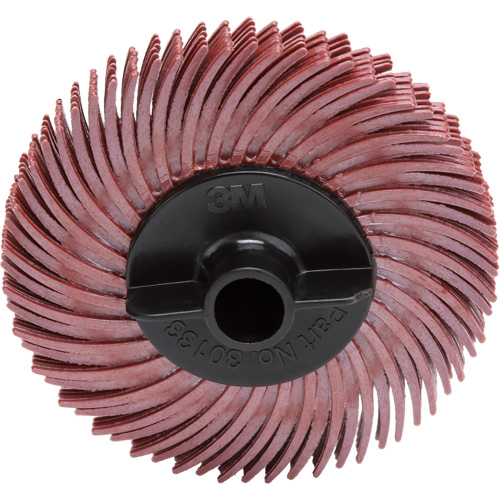 Disque &agrave; soies radiales, RB- ZB Scotch-Brite, C&eacute;ramique, Grain 220, 2" dia. Rock Safety Industrial Ltd