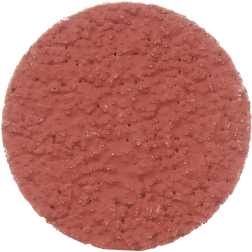Cubitron II Roloc Durable Edge Disc, 2" Dia., 36+ Grit, Ceramic Rock Safety Industrial Ltd