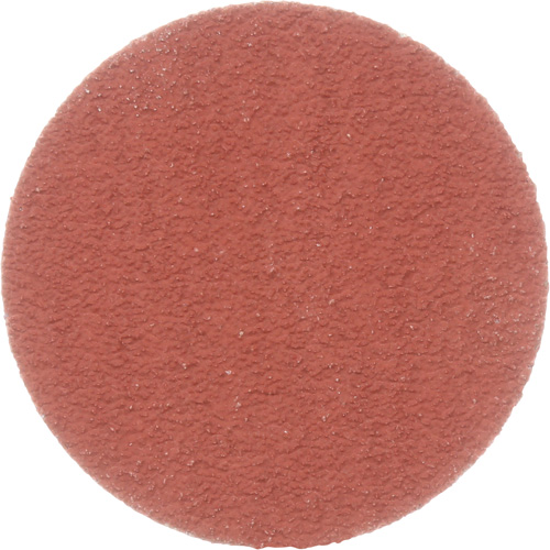 Cubitron II Roloc Durable Edge Disc, 2" Dia., 80+ Grit, Ceramic Rock Safety Industrial Ltd