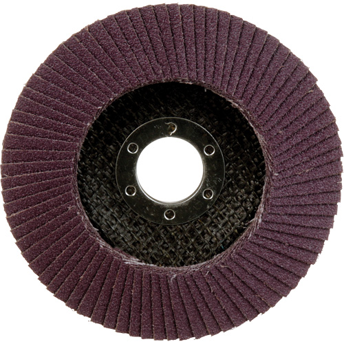 769F Quick Change Flap Disc, 4-1/2" x 7/8", Type 29, 80+ Grit, Ceramic Rock Safety Industrial Ltd