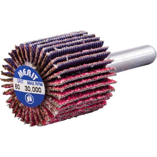 Shank Mounted Mini Flap Wheel, Ceramic Alumina, 60 Grit, 1" x 1" x 1/4" Rock Safety Industrial Ltd