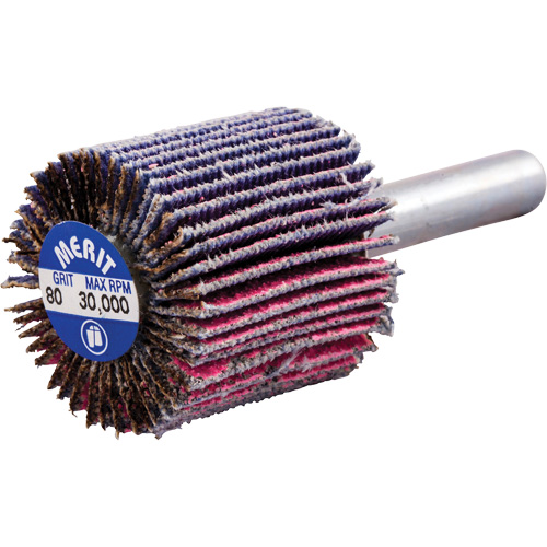 Mini-meule &agrave; lamelles mont&eacute;e sur tige, C&eacute;ramique d'alumine, Grain 80, 1" x 1" x 1/4" Rock Safety Industrial Ltd