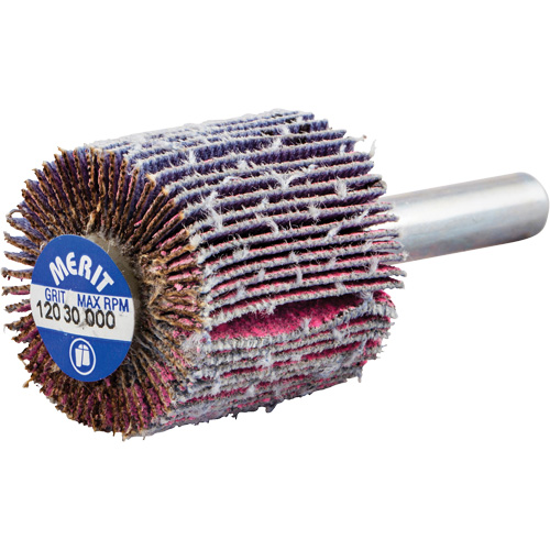 Mini-meule &agrave; lamelles mont&eacute;e sur tige, C&eacute;ramique d'alumine, Grain 120, 1" x 1" x 1/4" Rock Safety Industrial Ltd