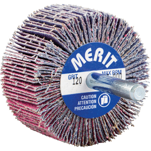 Mini-meule &agrave; lamelles mont&eacute;e sur tige, C&eacute;ramique d'alumine, Grain 120, 2" x 1" x 1/4" Rock Safety Industrial Ltd